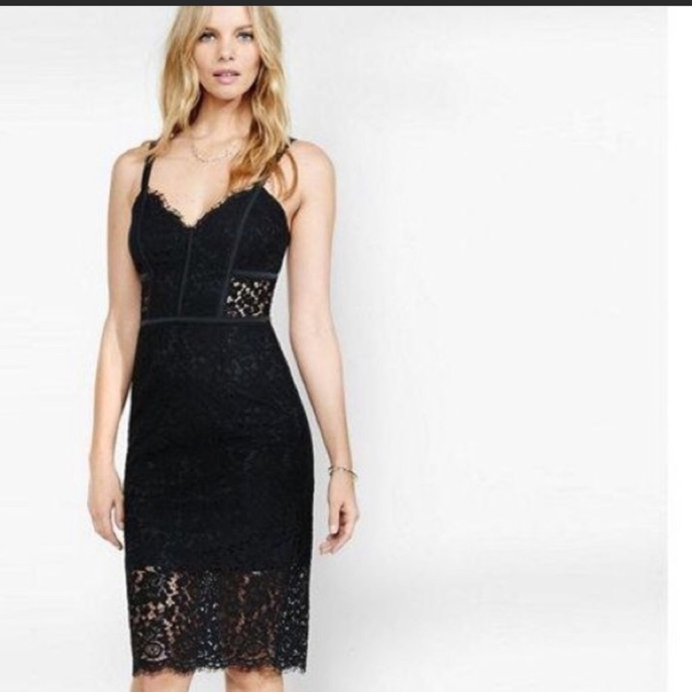 Express piped sheath lace dress